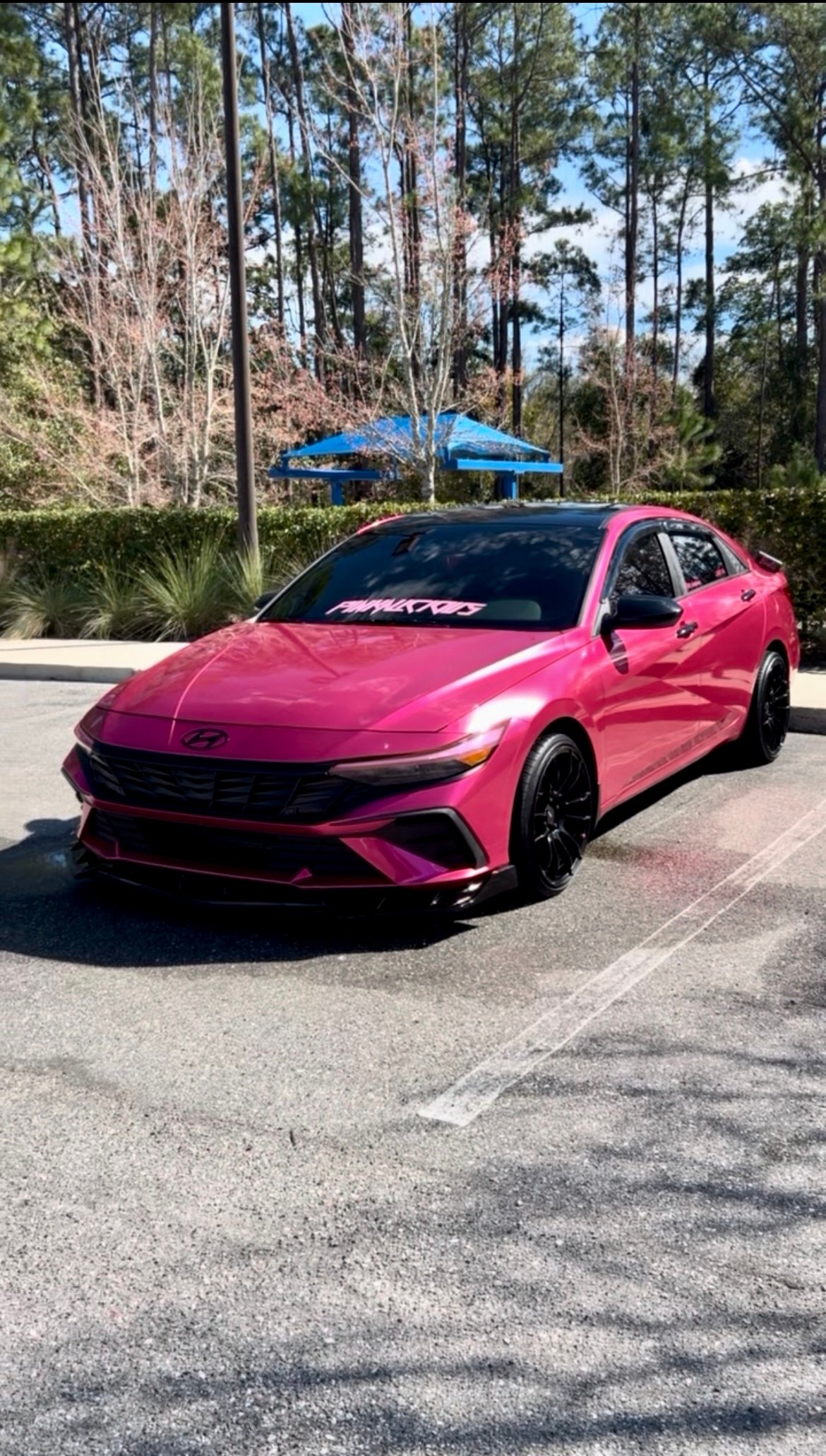 Full detail